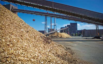 La biomasa es la renovable con la mayor proyección de crecimiento al 2030