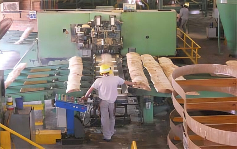 Inversión en tecnología y capacitación en la mira de las empresas