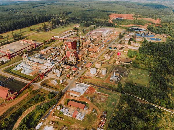 ARAUCO es la primera empresa forestal del mundo en ser carbono neutral