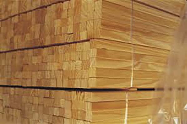 El comercio de madera blanda en Europa enfrenta un cambio profundo y abre posibilidades de negocios para Latinoamérica