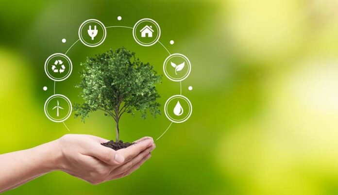Hand holding tree. Save nature, ecology concept