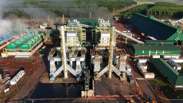 Nueva planta de biioenergía del Grupo INSUD
